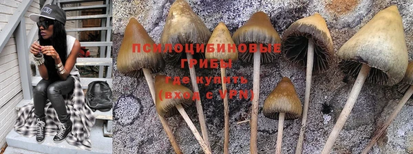 эйфоретик Белоозёрский