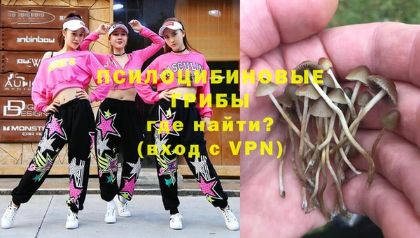 синтетический гашиш Белокуриха