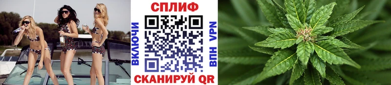 Бошки марихуана VHQ  дарнет шоп  Шатура 